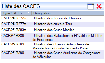 Liste des CACES Interface du Module CACES