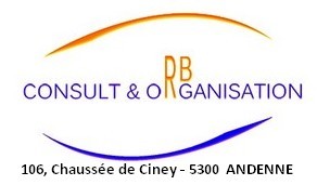 logo RB Consult & Organisation